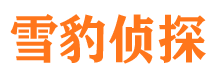 商河侦探公司